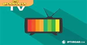 Disfruta de Gorda IPTV: Televisión Española en Alta Calidad | Descarga APK en Google Play | Amplia Gama de Contenido